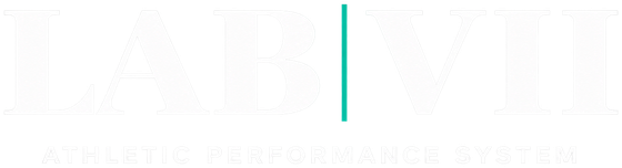 LAB VII — Athletic Performance System